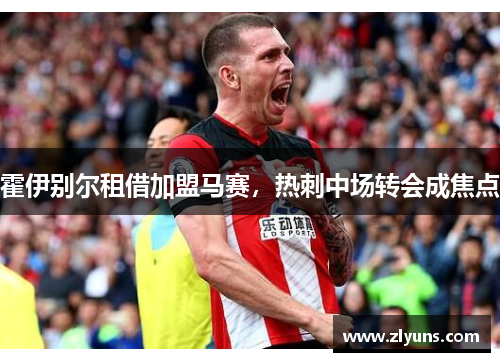 霍伊别尔租借加盟马赛，热刺中场转会成焦点